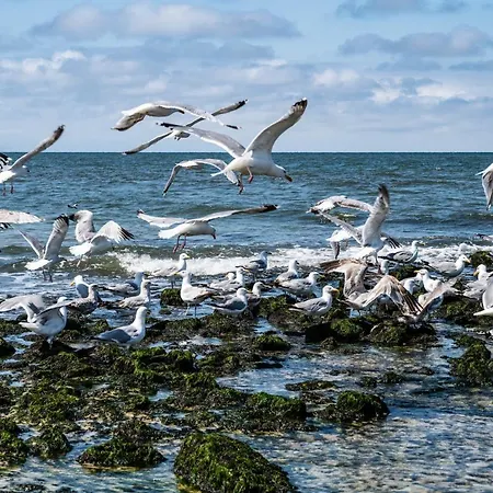 Boarding House Sensenskiin *